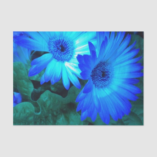 Papier Mousseline Bleu brillant (Recto)