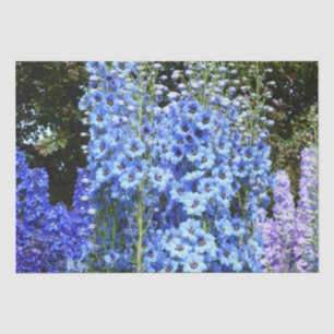 Papier Mousseline Bleu Delphinium Fleurs Florales Jardin Nature