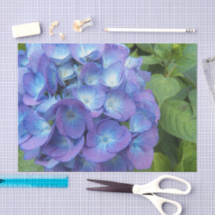Papier Mousseline Blue Hydrangea Petals Floral