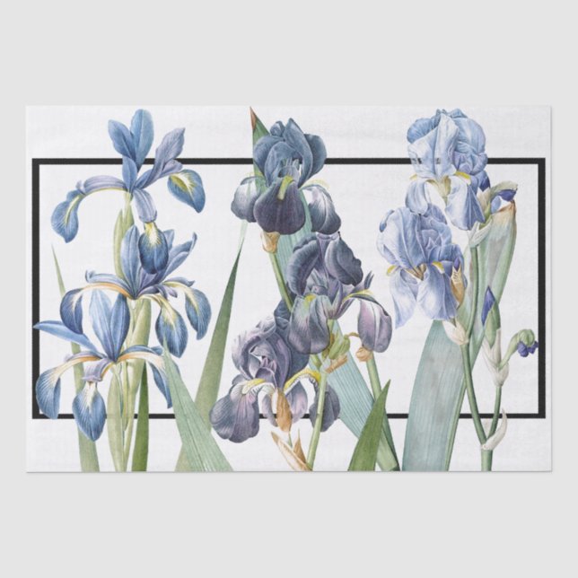 Papier Mousseline Blue Iris Flowers Redoute Floral Tissue Paper (Recto)