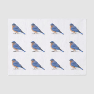 Papier Mousseline Bluebird