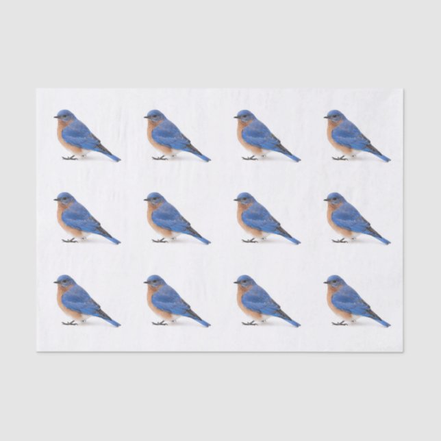Papier Mousseline Bluebird (Recto)