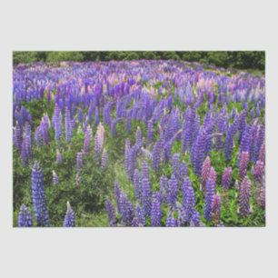 Papier Mousseline Bluebonnets Blue Floral Texas Texan Elegant