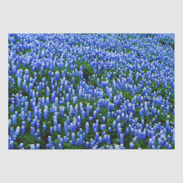 Papier Mousseline Bluebonnets Blue Floral Texas Texan Elegant Tissu (Recto)