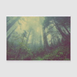 Papier Mousseline Bois Du Bas