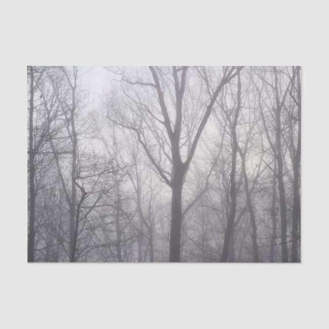 Papier Mousseline Bois gris des arbres (Recto)