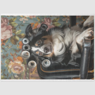 Papier Mousseline Bordure Collie Hair Cut Style Découpage choyé