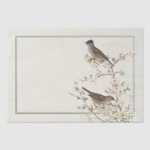 Papier Mousseline Bordure d'argent sur les oiseaux vintages sur la b