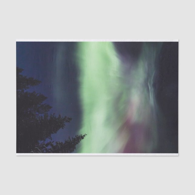 Papier Mousseline Borealis de l'aurore en Laponie finlandaise (Recto)