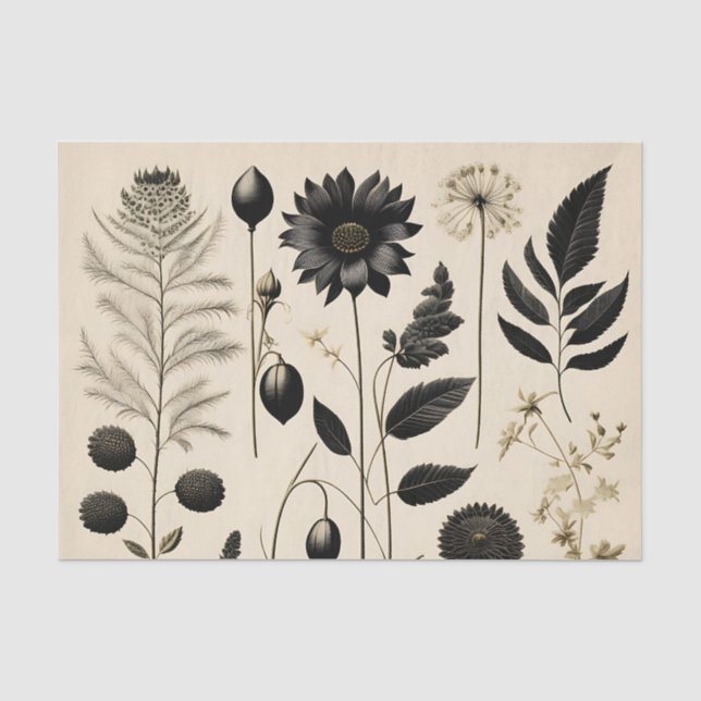 Papier Mousseline Botanique florale intemporelle (Recto)