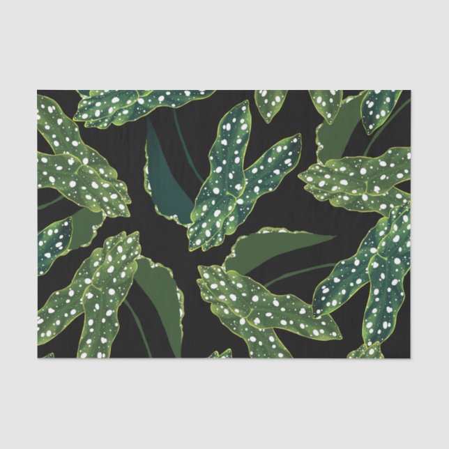 Papier Mousseline Botanique Spotted Begonia Feuilles (Recto)