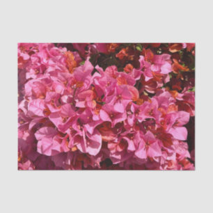 Papier Mousseline Bougainvillea Arbuste de vinification rose tropica