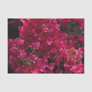 Papier Mousseline Bougainvillea Arbuste de vinification Tropical Rou