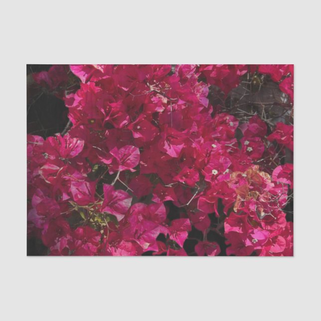 Papier Mousseline Bougainvillea Arbuste de vinification Tropical Rou (Recto)
