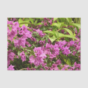 Papier Mousseline Bougainvillées tropicales violettes