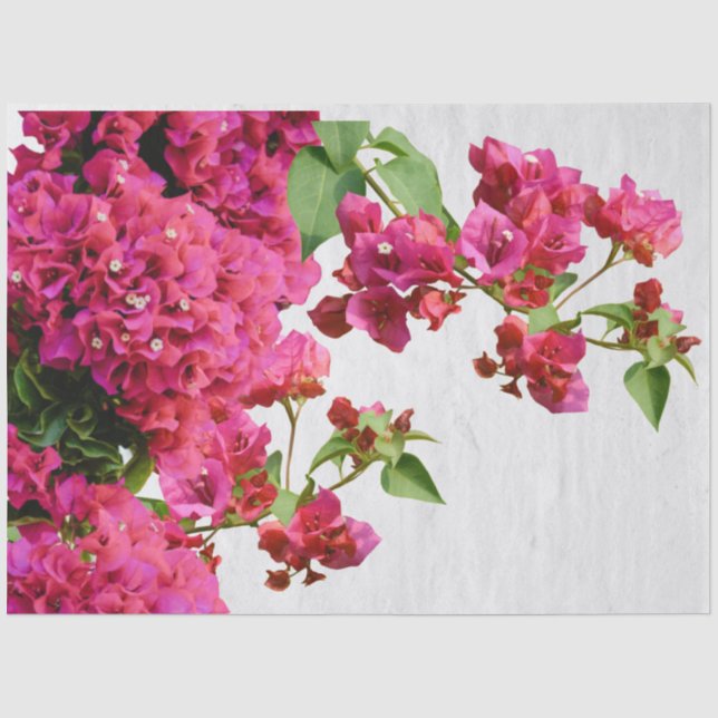 Papier Mousseline Bougainvilliers Floral Méditerranée Grecque (Recto)