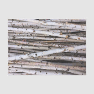 Papier Mousseline Bouleau