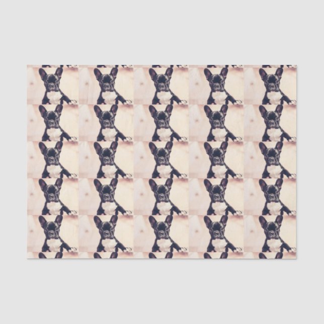 Papier Mousseline Bouledogue français (Recto)