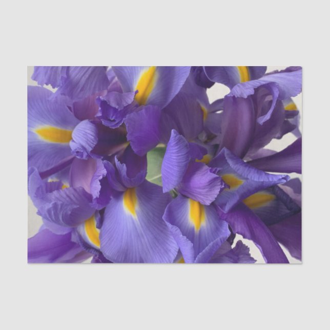 Papier Mousseline Bouquet d'iris néerlandais (Recto)