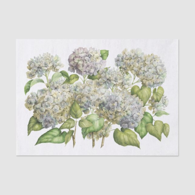 Papier Mousseline Bouquet floral botanique de Lavender Blue Hydrange (Recto)