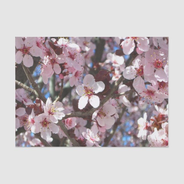 Papier Mousseline Branche de fleurs roses Printemps Floral (Recto)