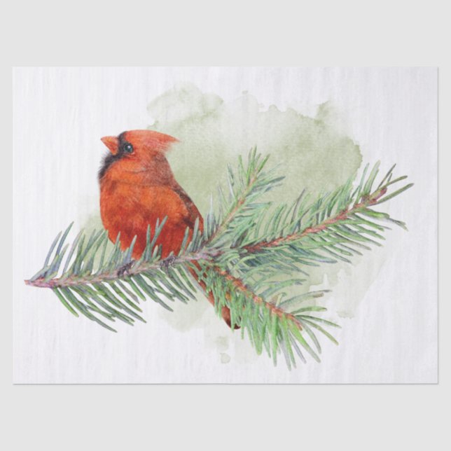 Papier Mousseline Branches cardinales et pins Aquarelle (Recto)