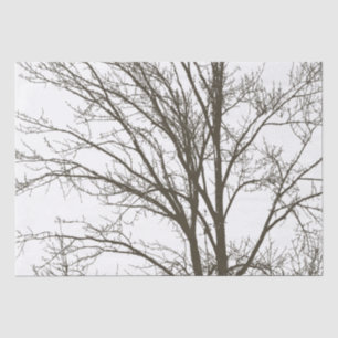 Papier Mousseline Branches rustiques de l'arbre Brown