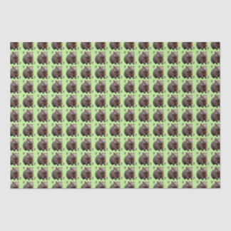 Papier Mousseline Brickwork Burrow : Une toile verte de Wombat,