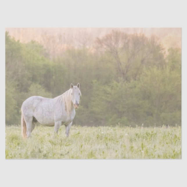 Papier Mousseline Broadfoot Mare (Recto)