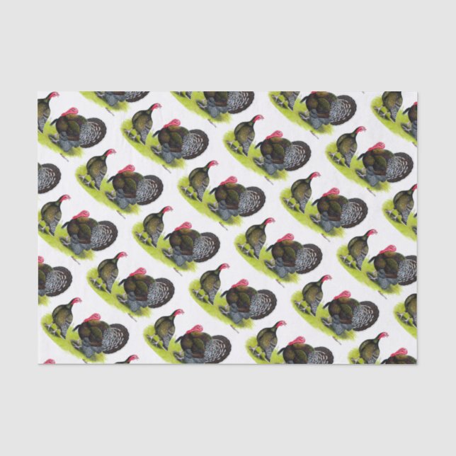 Papier Mousseline Bronze à gros seins de Turquie (Recto)