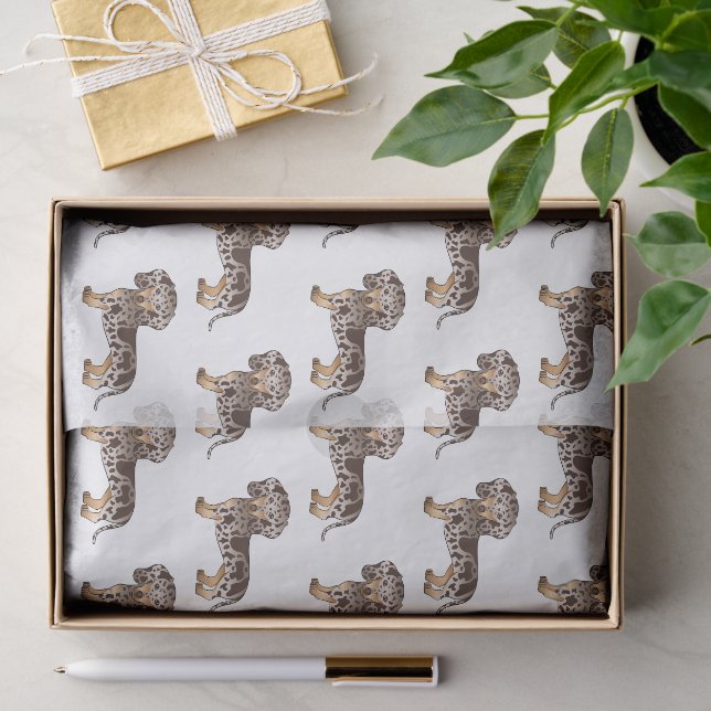Papier Mousseline Brown & Tan Dapper Cheveux courts Motif Dachshund (Cadeau)