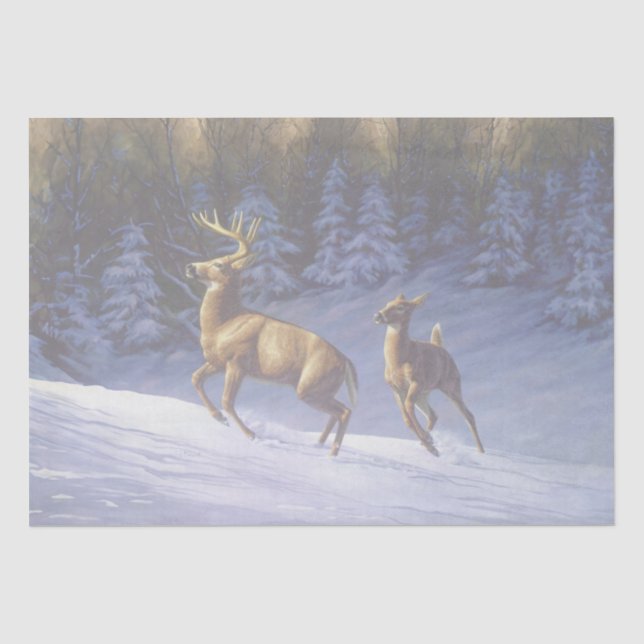 Papier Mousseline Buck & Doe de cerf blanc en neige hivernale (Recto)