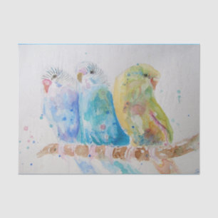 Papier Mousseline Budgie Aquarelle Peinture Oiseaux Oiseaux Whimsica