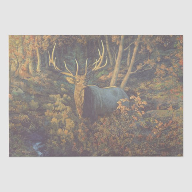 Papier Mousseline Bull Elk dans la forêt d'automne (Recto)