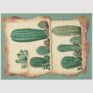 Papier Mousseline Cactus Plante Ephemera Collage Art No2