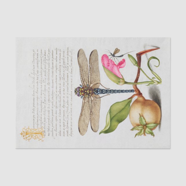 Papier Mousseline Calligraphie (libellule, oeillet et poire)     (Recto)