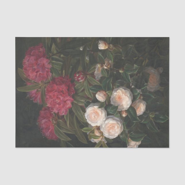 Papier Mousseline Camellias Et Rhododendrons, Découpage (Recto)