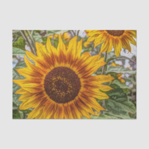 Papier Mousseline campagne française jardin d'été heureux