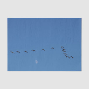 Papier Mousseline Canadian geese