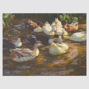 Papier Mousseline Canards Brown Noirs Blancs vintages En Pond Découp