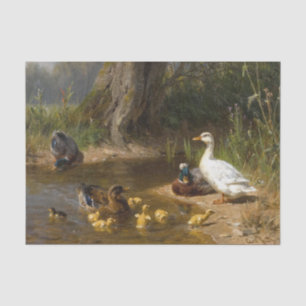 Papier Mousseline Canards sur l'eau par Carl Jutz