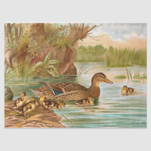 Papier Mousseline Canards vintages À La Découpage De L'Étang 2