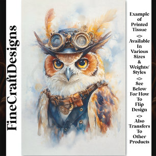 Papier Mousseline Caprice Aquarelle Sage Chouette Explorateur CE2 Dé