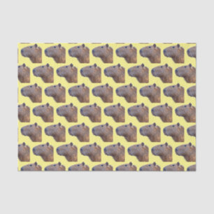 Papier Mousseline Capybara