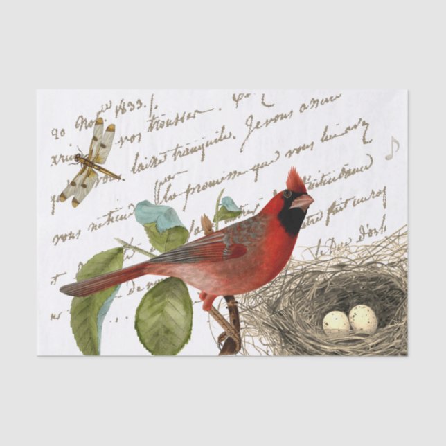 Papier Mousseline Cardinal Bird Nest Dragonfly French Script Music (Recto)