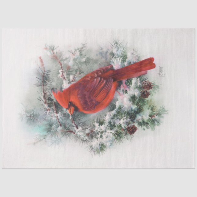 Papier Mousseline Cardinal de Noël (Recto)