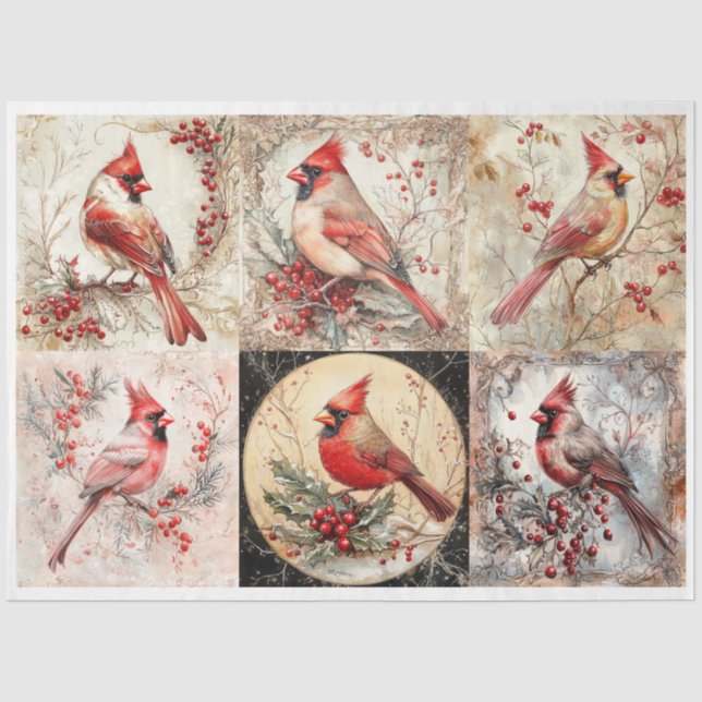 Papier Mousseline Cardinal de Noël Carrés (Recto)