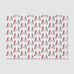 Papier Mousseline Cardinal du Nord SongBird