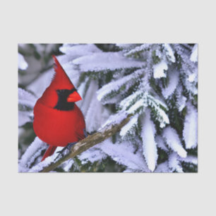 Papier Mousseline Cardinal rouge d'hiver