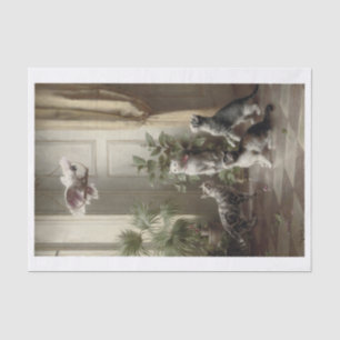 Papier Mousseline Carl Richert   Chats Kittens Parrot Bird
